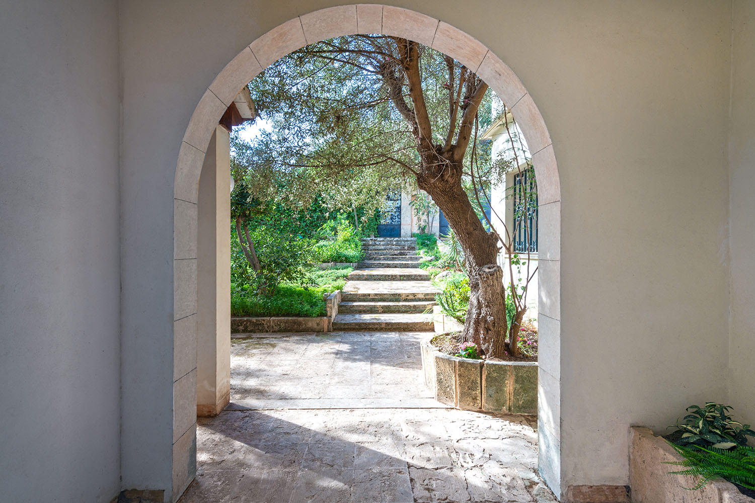 26226-haus-zum-renovieren-mallorca-l