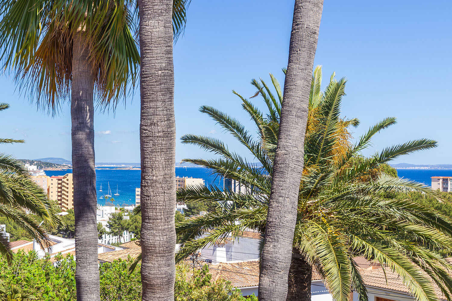 26741-mediterrane-villa-kauf-palmanova-c