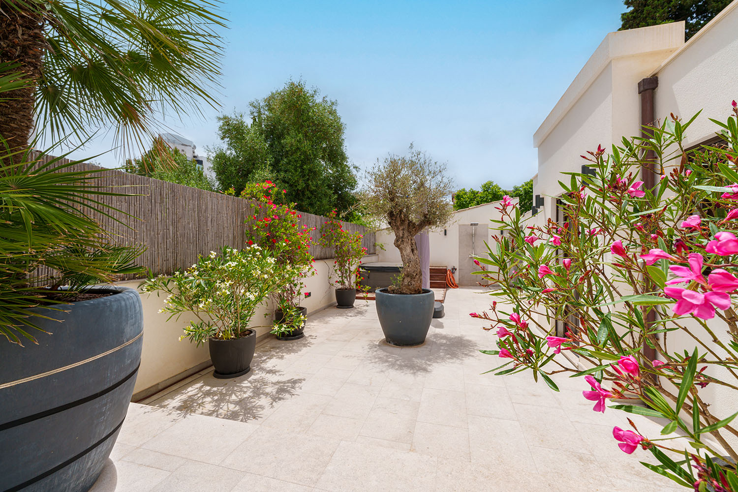 26844-haus-palma-mallorca-d