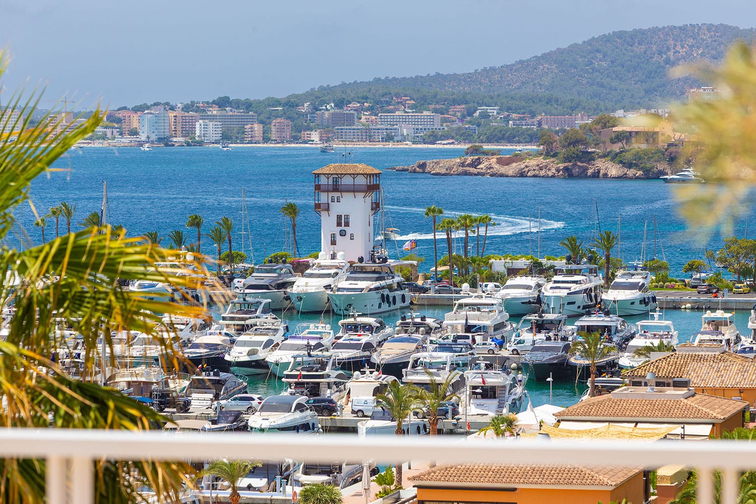 26037-meerblick-wohnung-portals-mallorca-kauf-b
