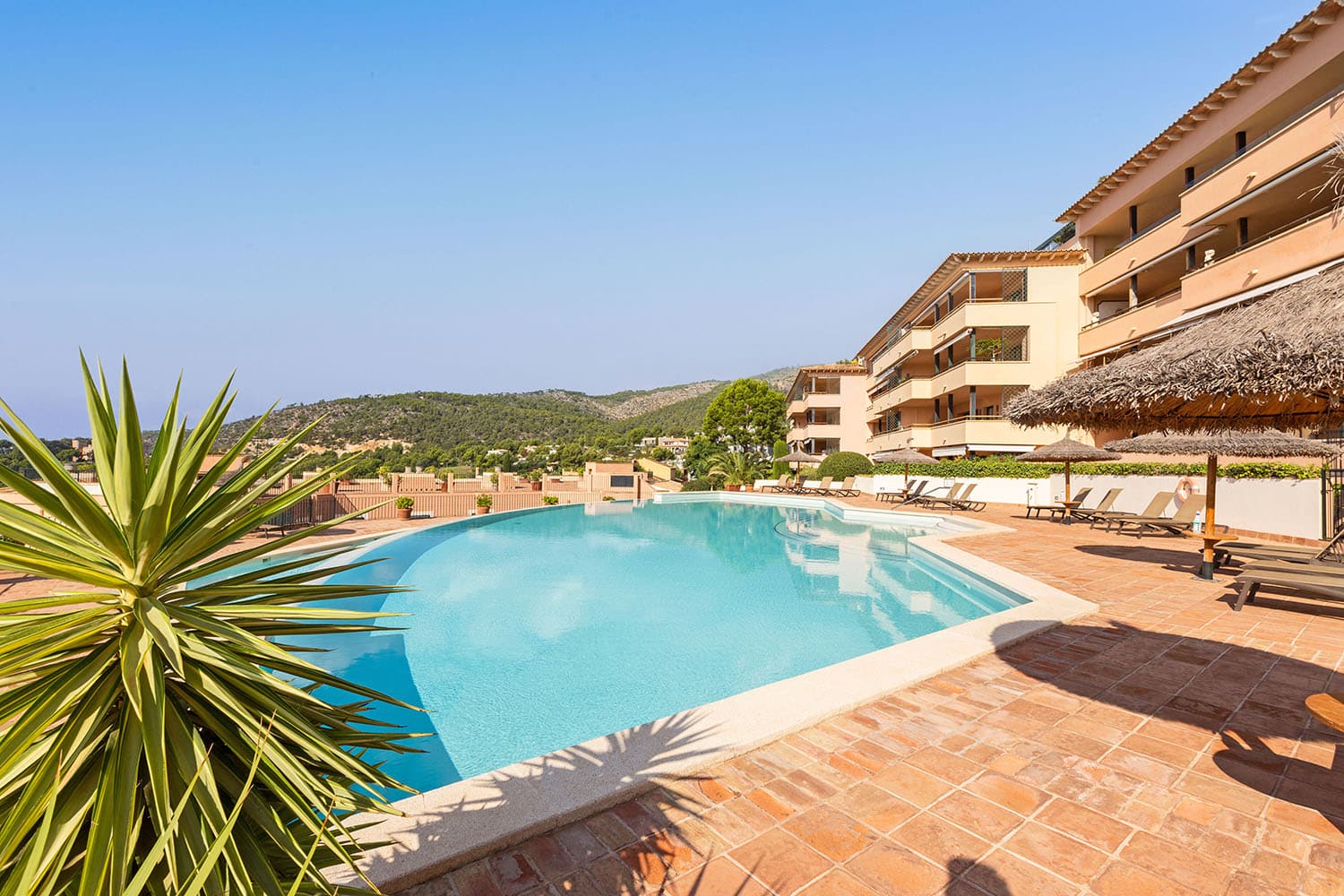 26908-penthaus-kauf-bendinat-mallorca-p