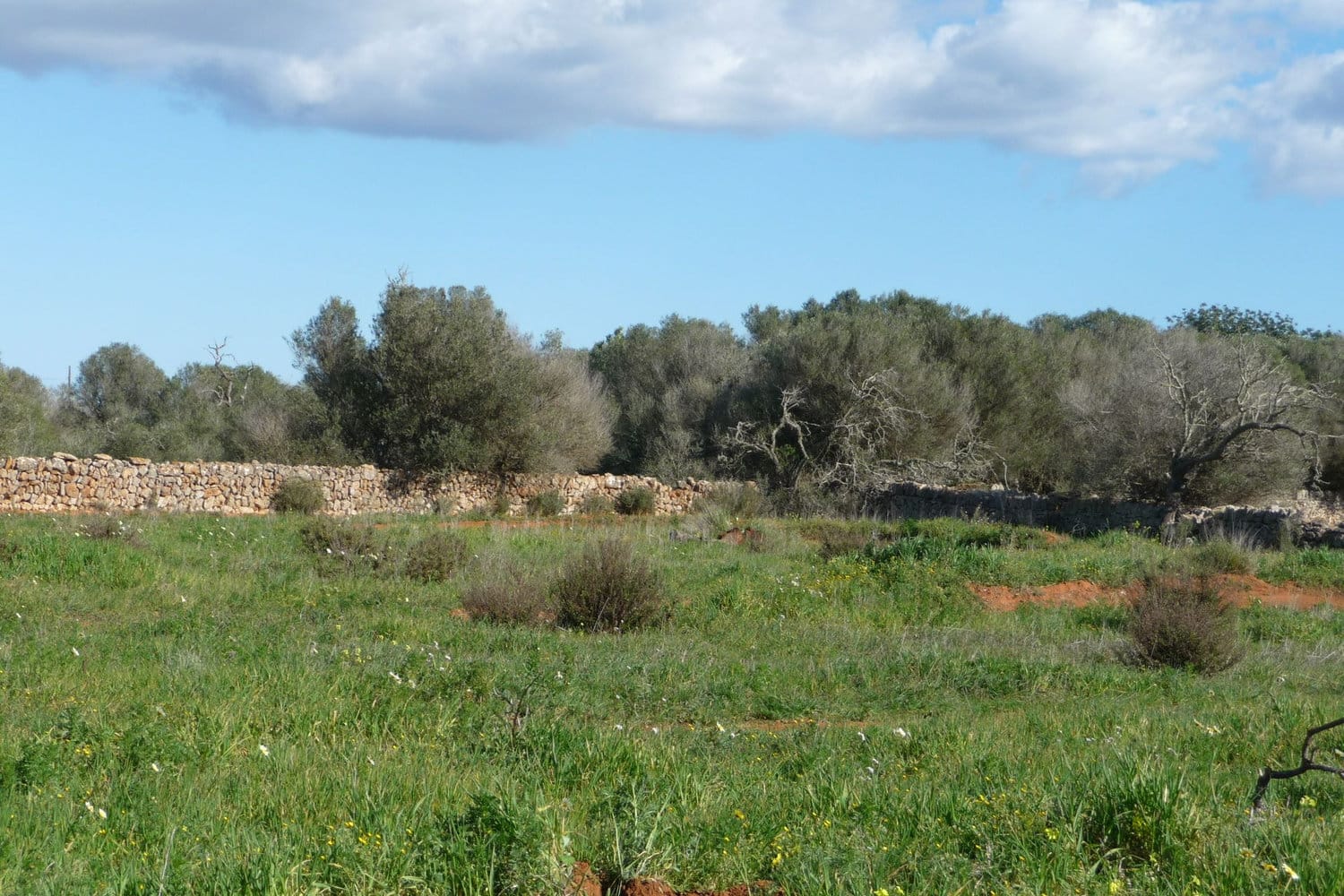 Ruhig gelegen in der Natur