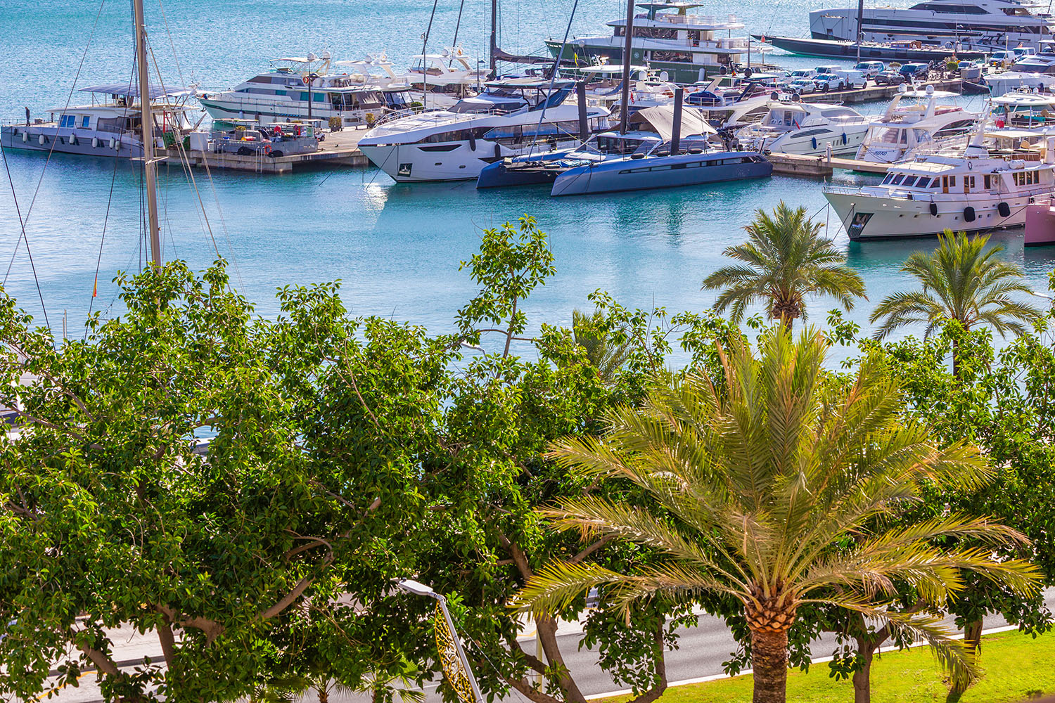 27125-wohnung-kauf-Paseo-Maritimo-palma-mallorca-d