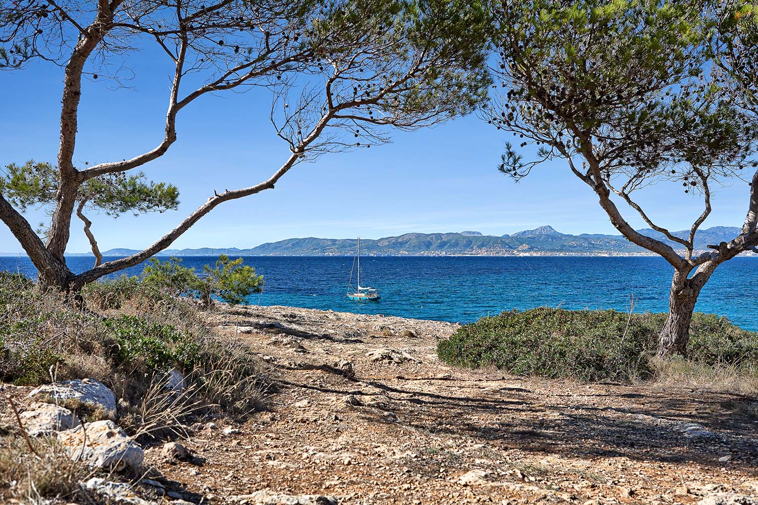 M12045-son-veri-town-house-m