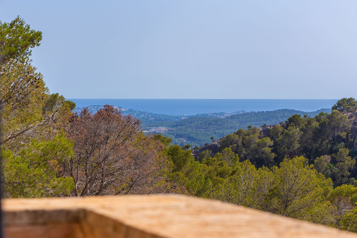 26831-finca-kauf-son-font-mallorca-a