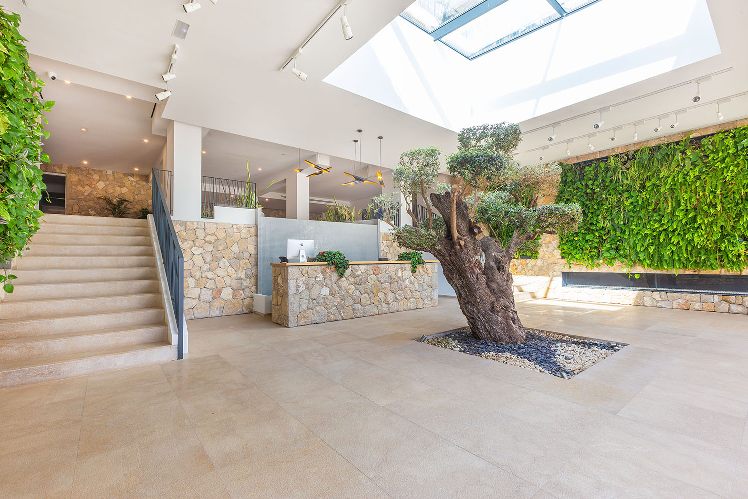 27278-garten-wohnung-kauf-portals-mallorca-o