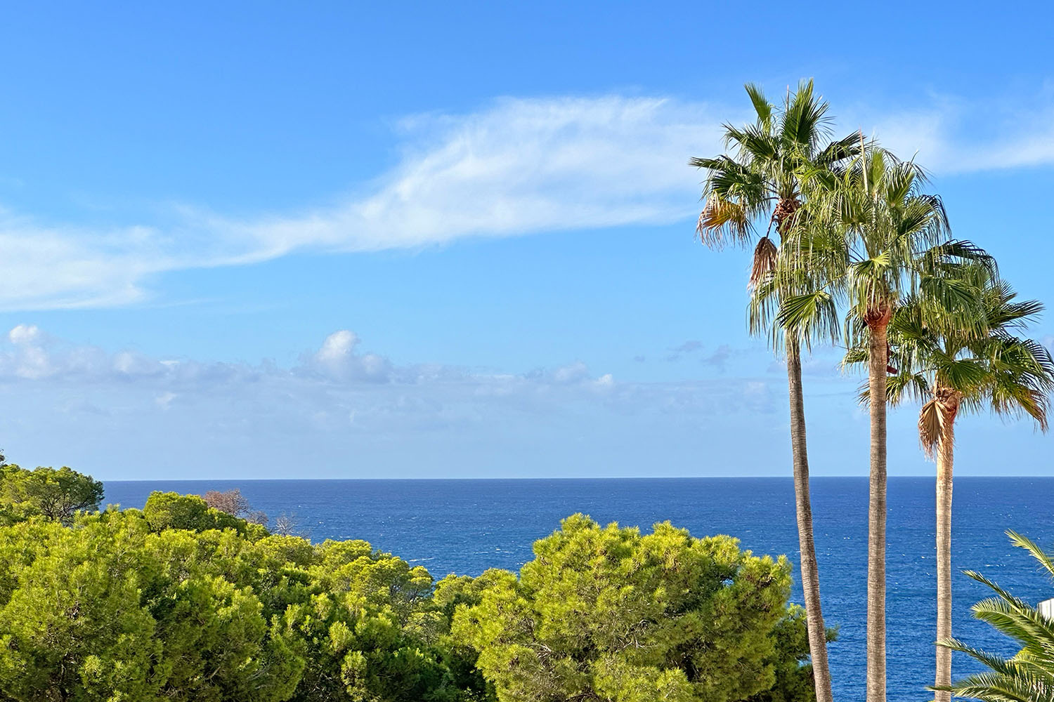 27364-villa-port-andratx-mallorca-b