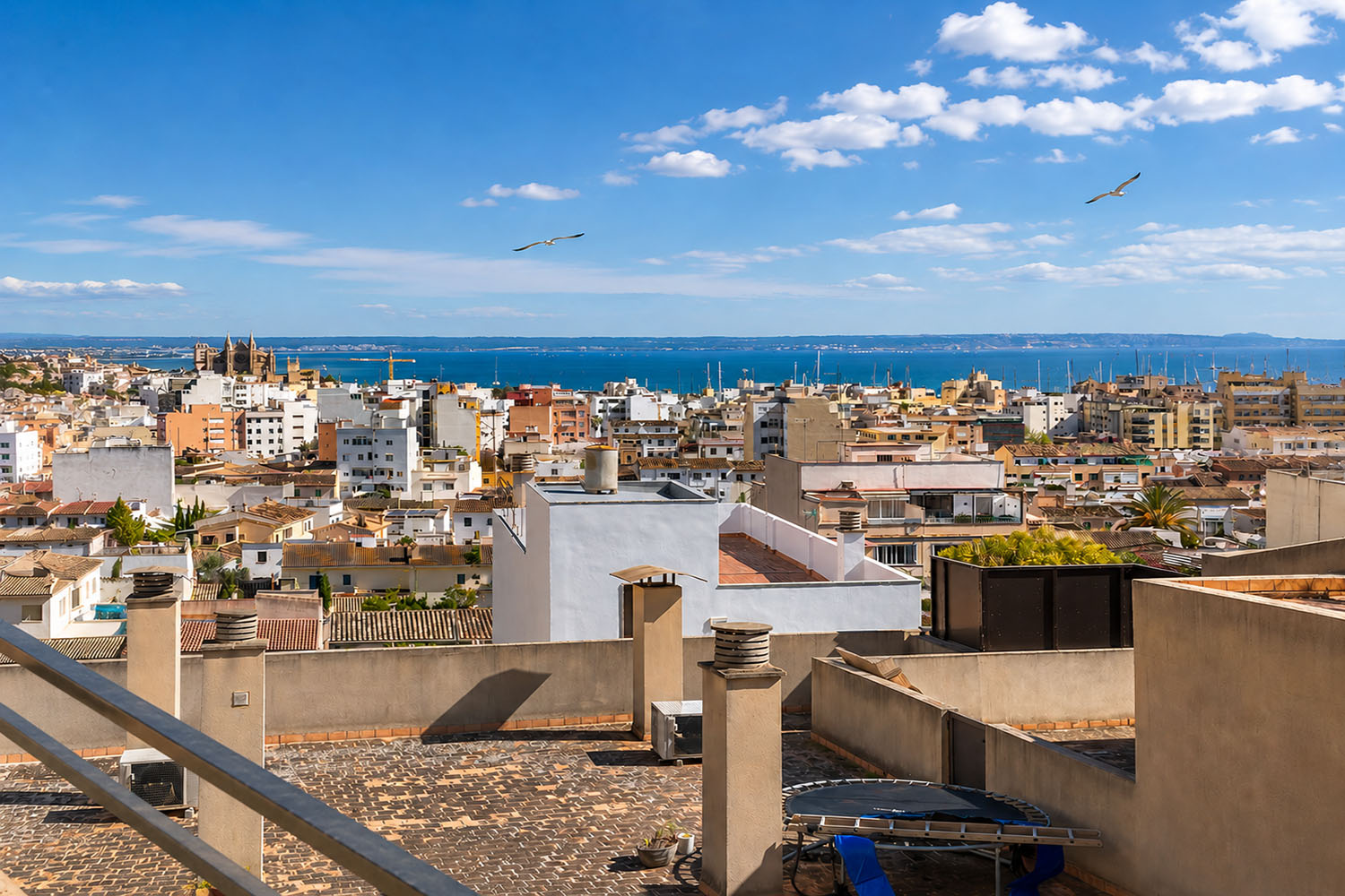 27443-wohnung-palma-mallorca-kaufen-b