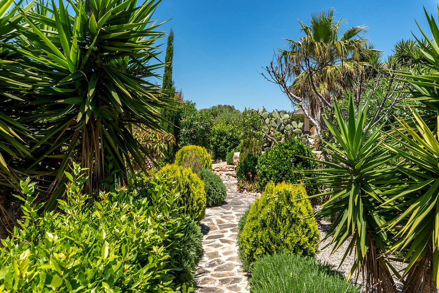 Gartengrundstück
