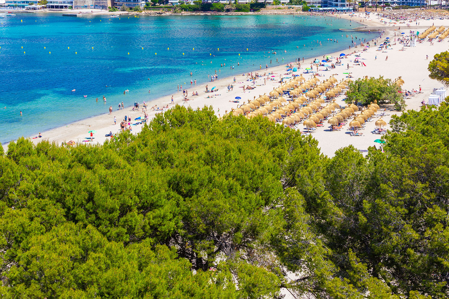 27465-meerblick-penthaus-santa-ponsa-kauf-d