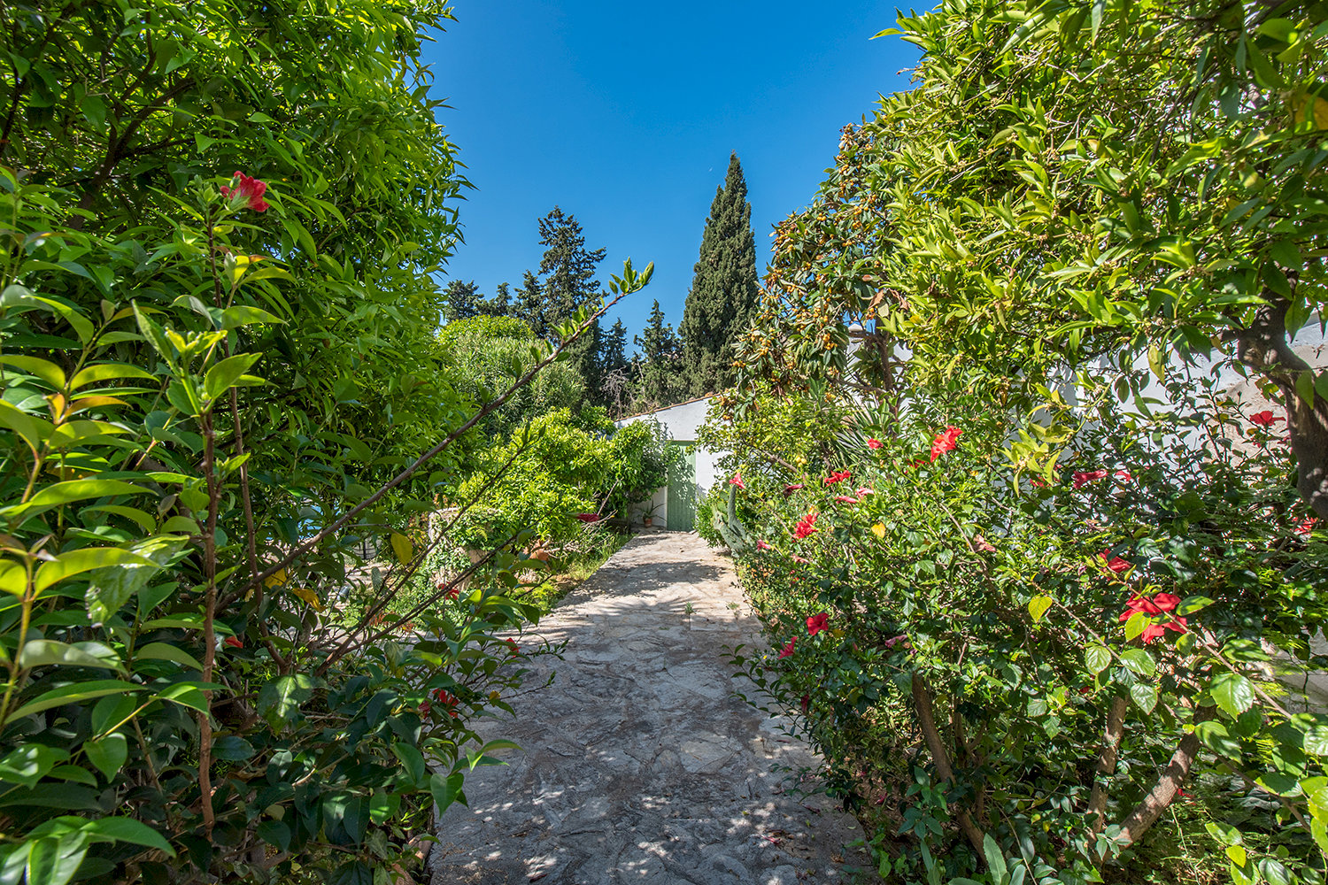 Stark bewachsenes Grundstück