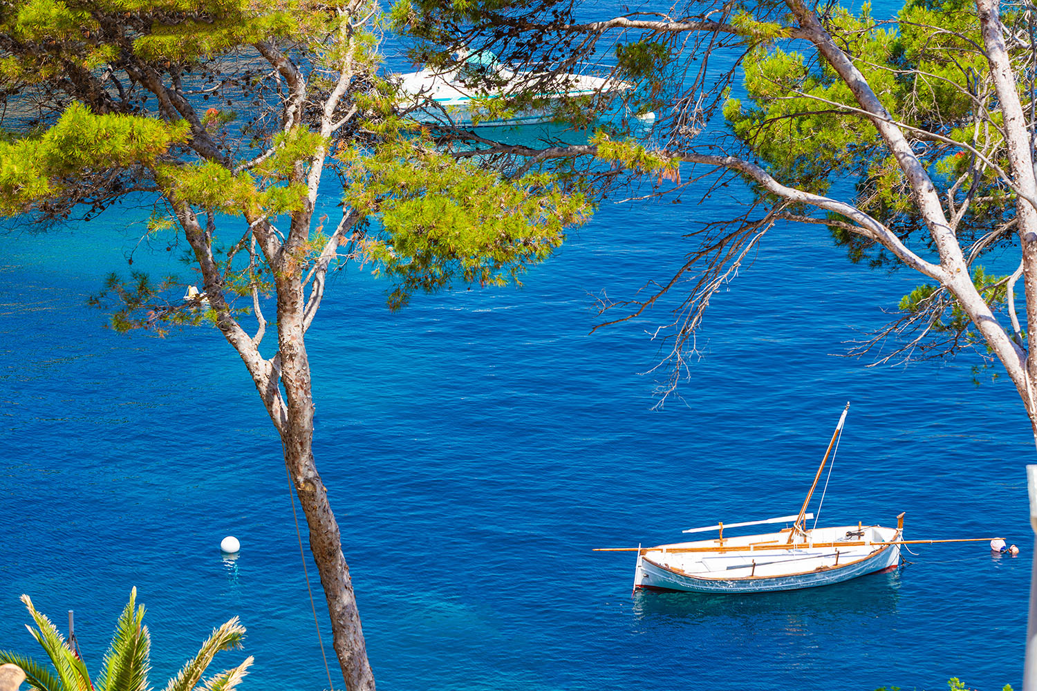 27472-meerblick-wohnung-kaufen-port-andratx-mallorca-c