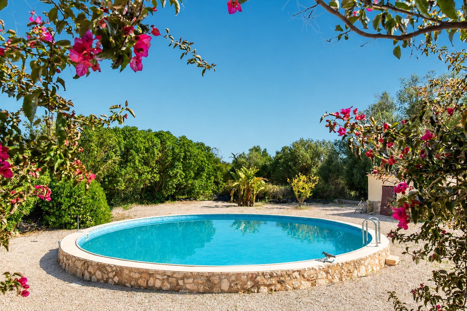 Mediterraner Garten