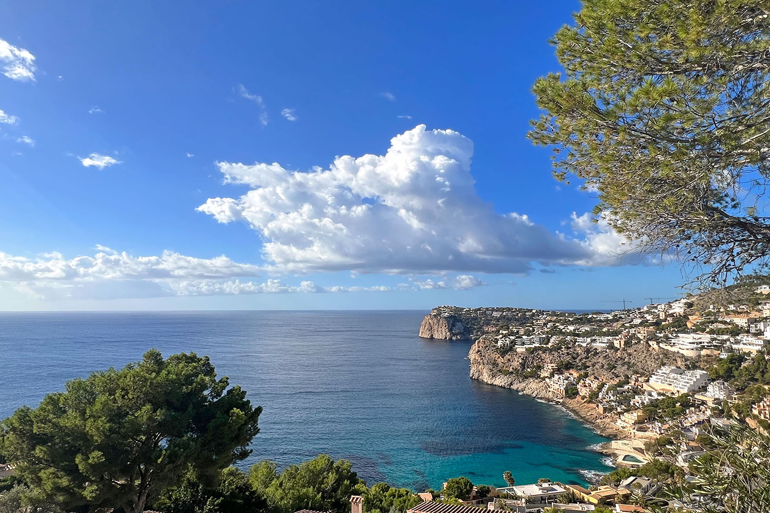 27575-immobilie-mallorca-kaufen-b