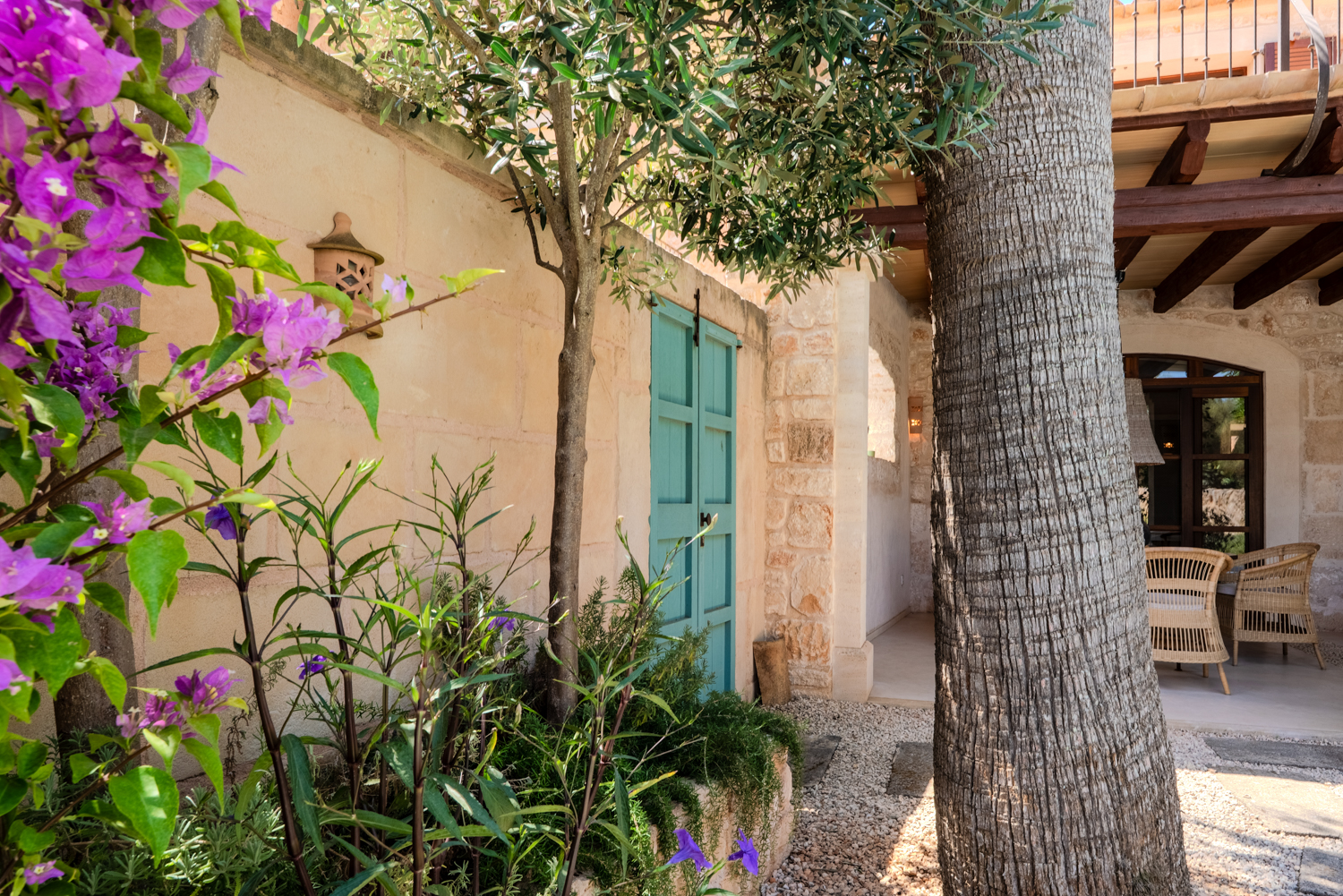 Liebevoll gestalteter Patio mit mediterraner Bepflanzung